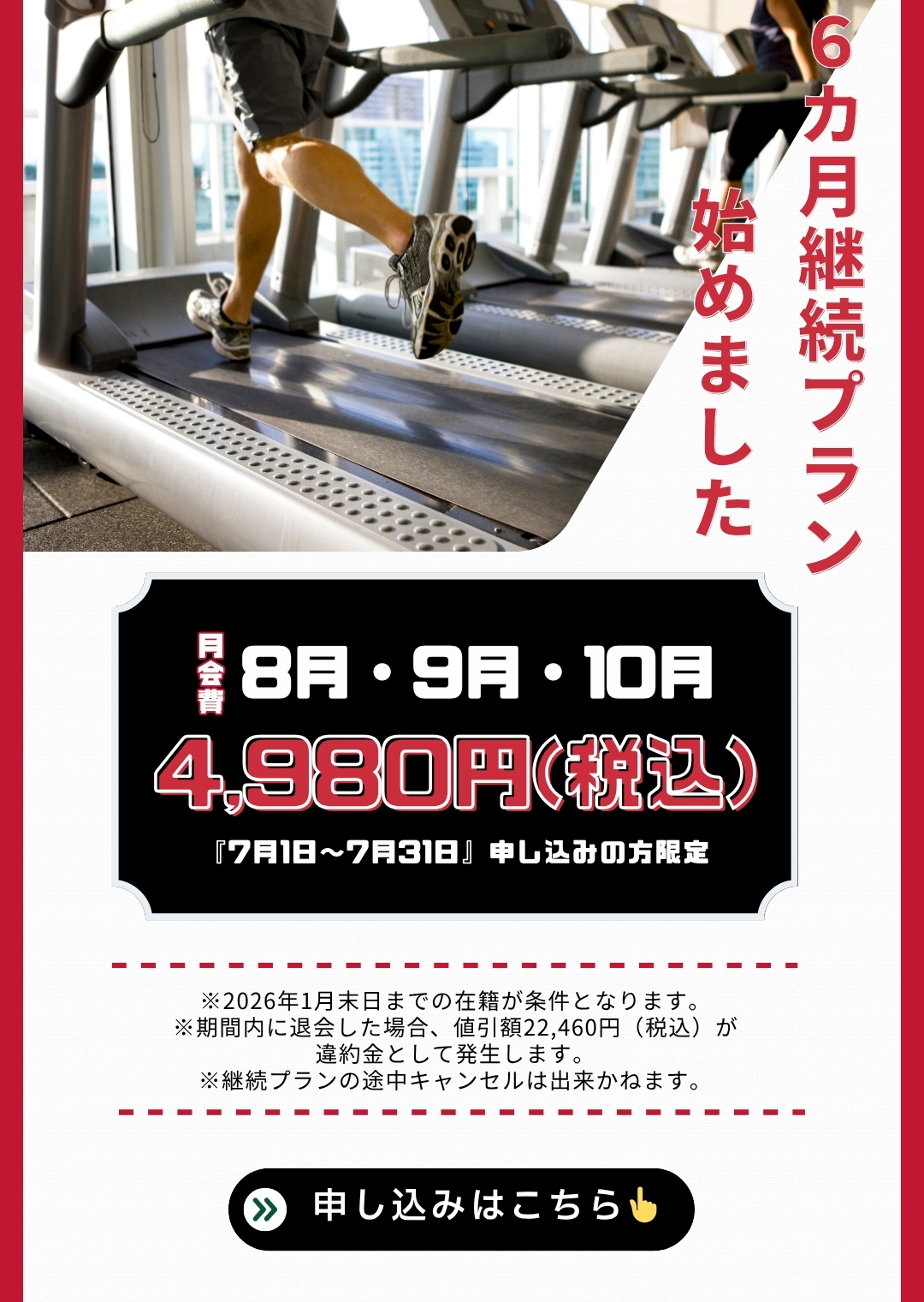 ゲリラキャンペーン（6ヶ月継続プラン）